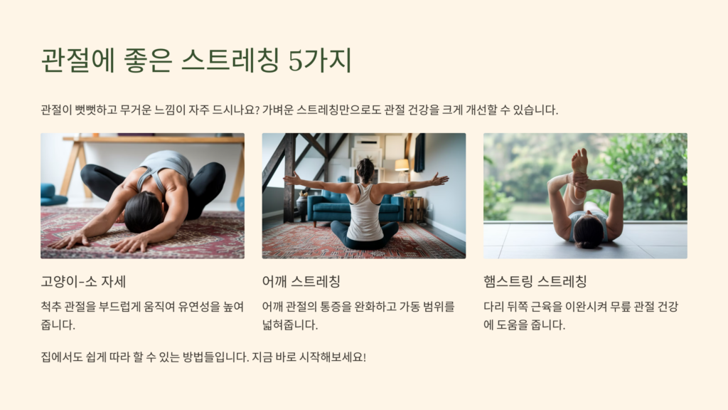 관절에 좋은 스트레칭 5가지 지금 시작해보세요