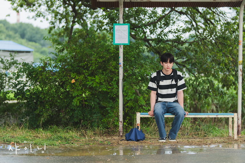 샤이닝 뜻&middot;인물관계도