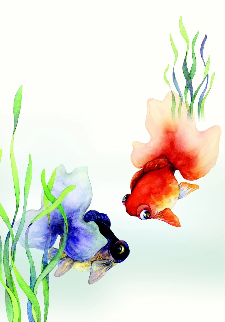 goldfish