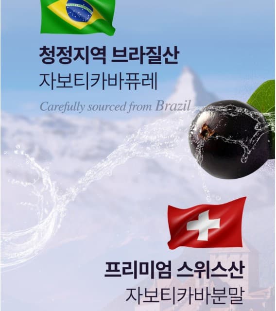 자보티카바 효능