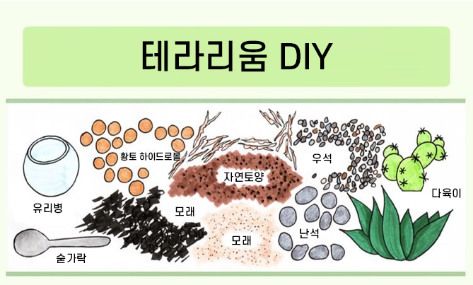 테라리움 DIY