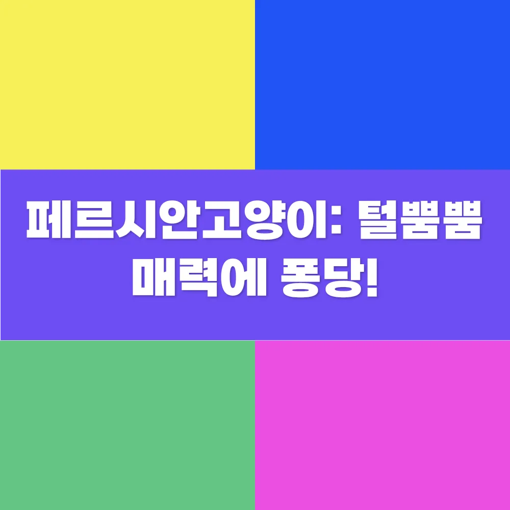썸네일 이미지