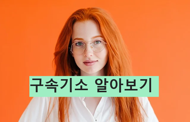 법용어 구속기소 알아보기