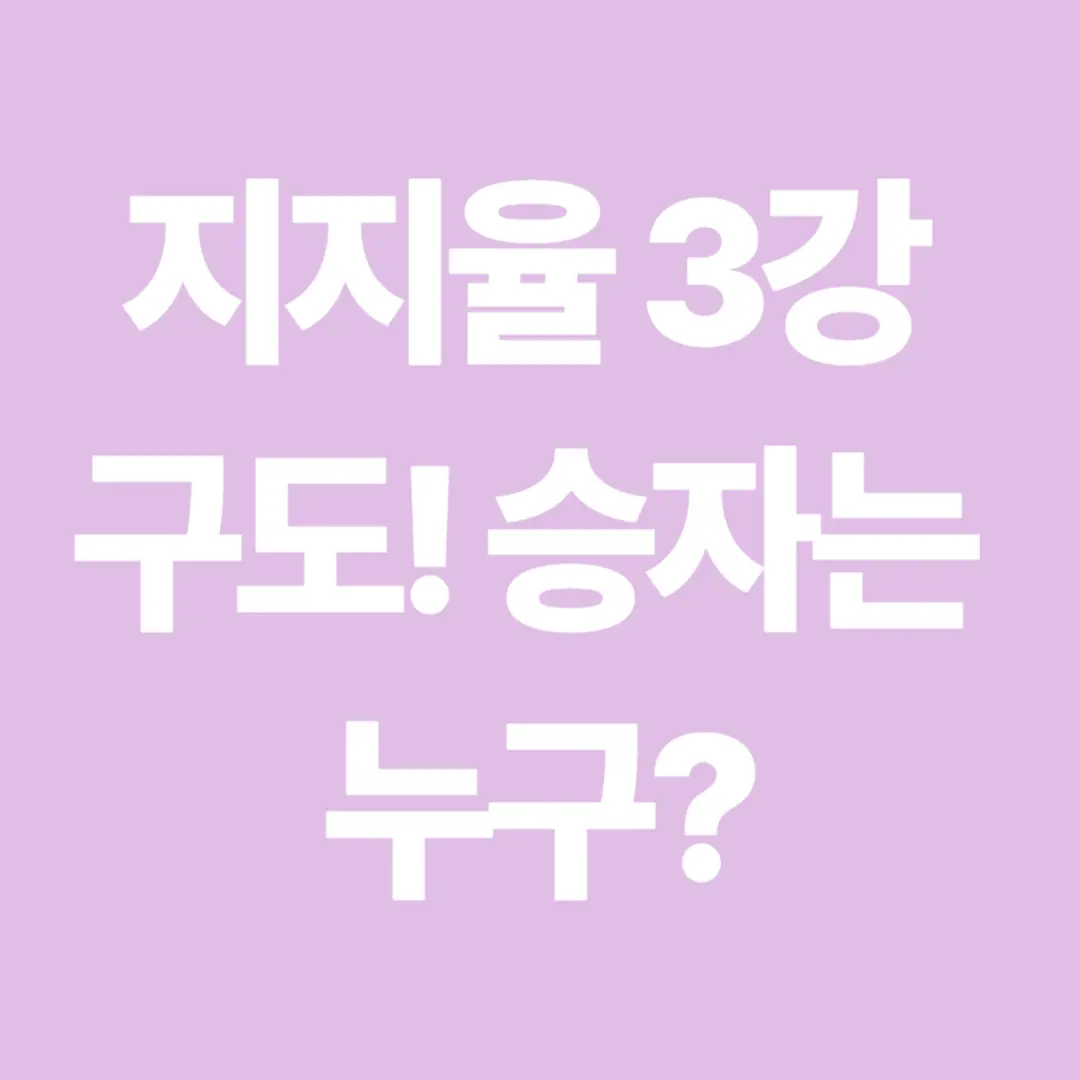 2025 대선 후보별 지지율 종합 분석