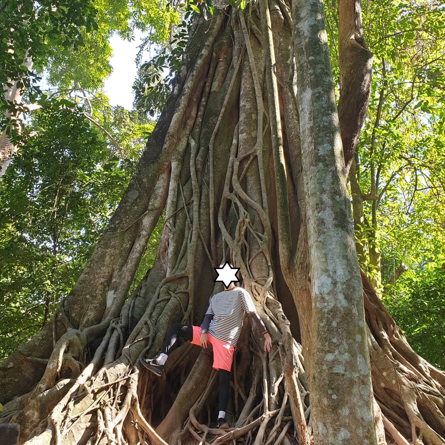 해외여행 라오스 루앙프라방