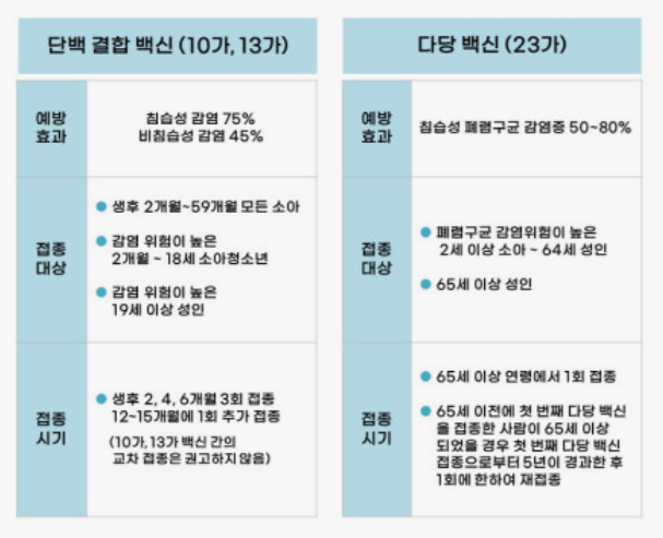 폐렴구균-예방접종