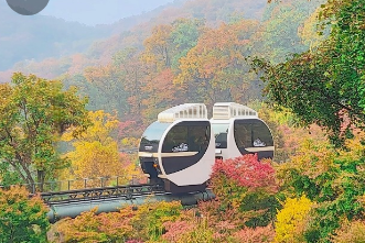 2024화담숲 가을단풍축제