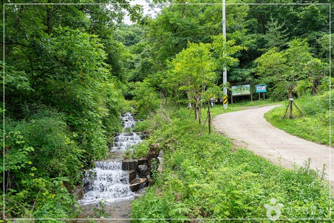 연천 가볼만한곳 베스트10 고대산 자연휴양림