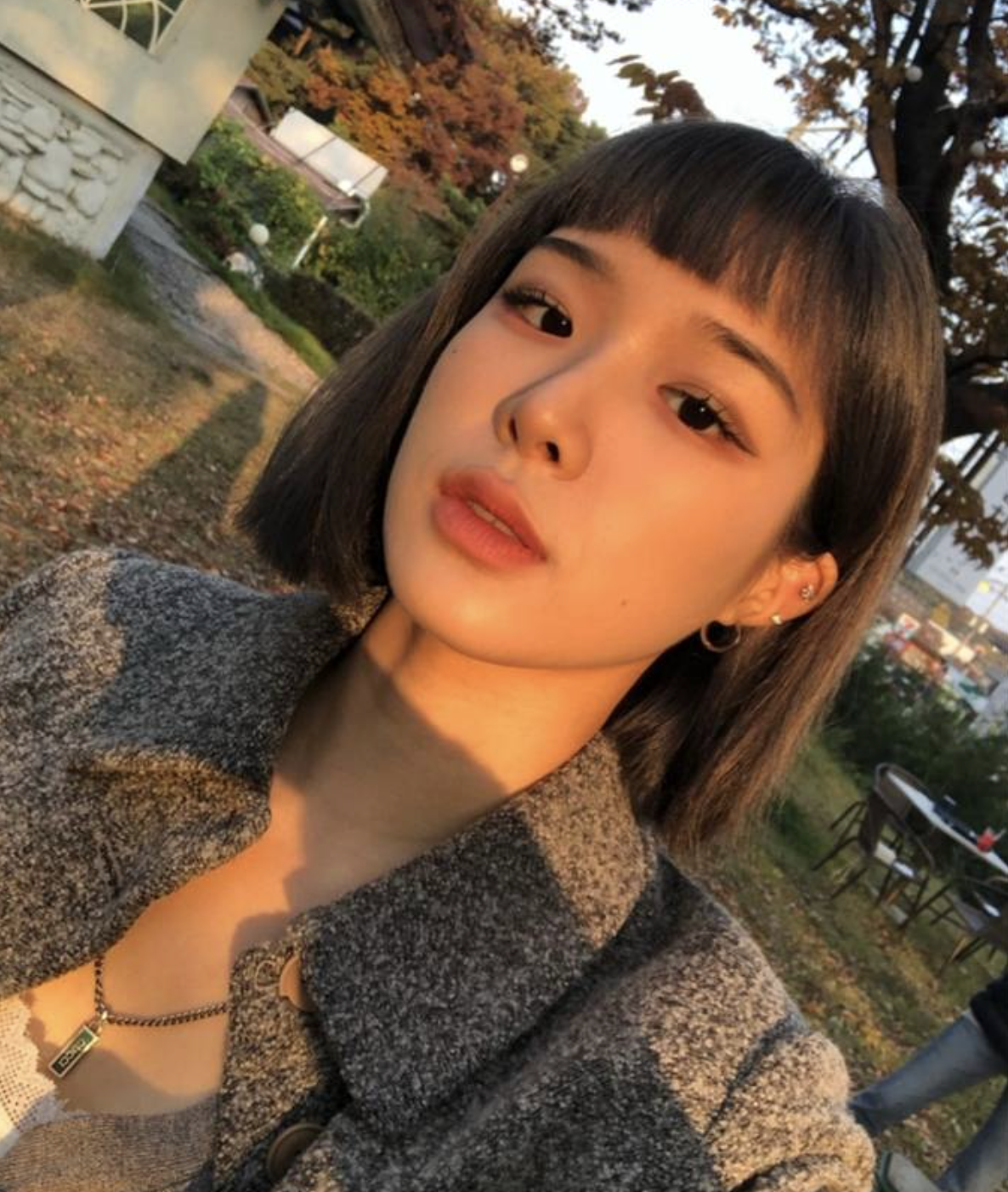 표바하 일상 미모