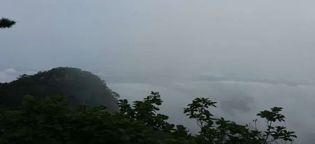 금수산