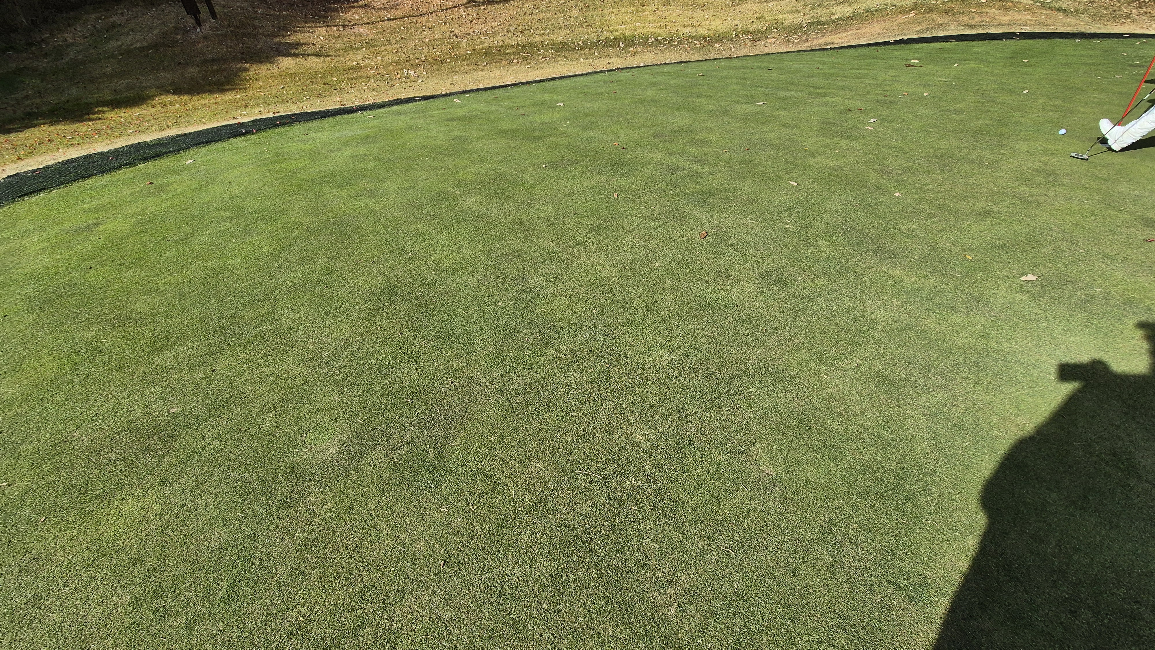 세종에머슨cc 밸리-마운틴 그린관리상태