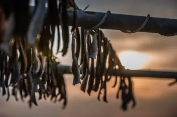 과메기 가격 및 효능&amp;#44; 영양성분과 주의점