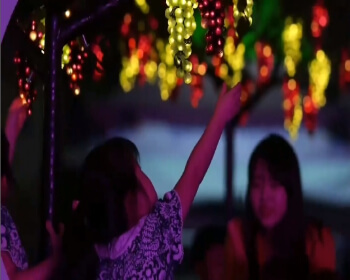 영동포도축제_2