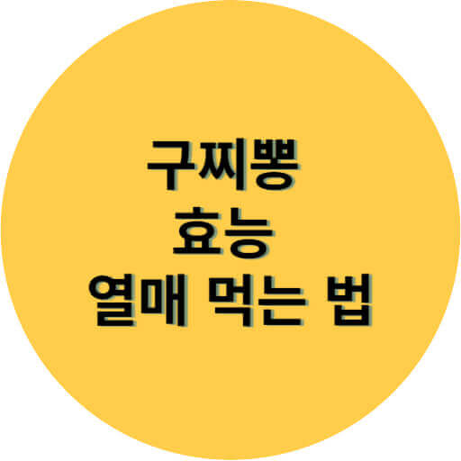 구찌뽕 효능 열매 먹는 법