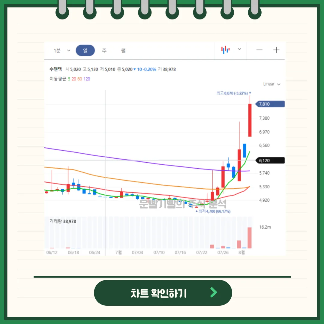 수젠텍 차트분석