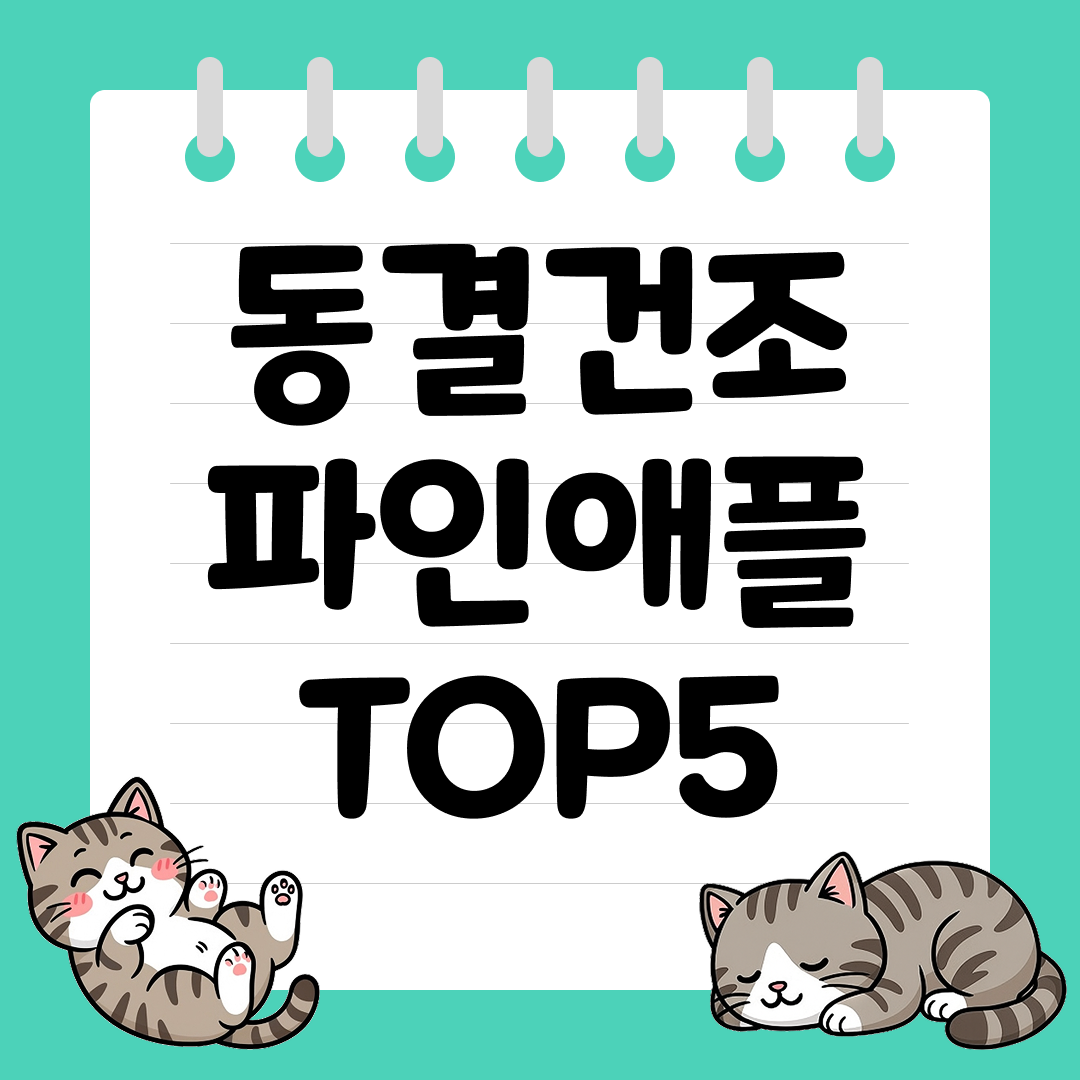 새콤달콤한 풍미가 살아있는 동결건조 파인애플 추천 순위 TOP5