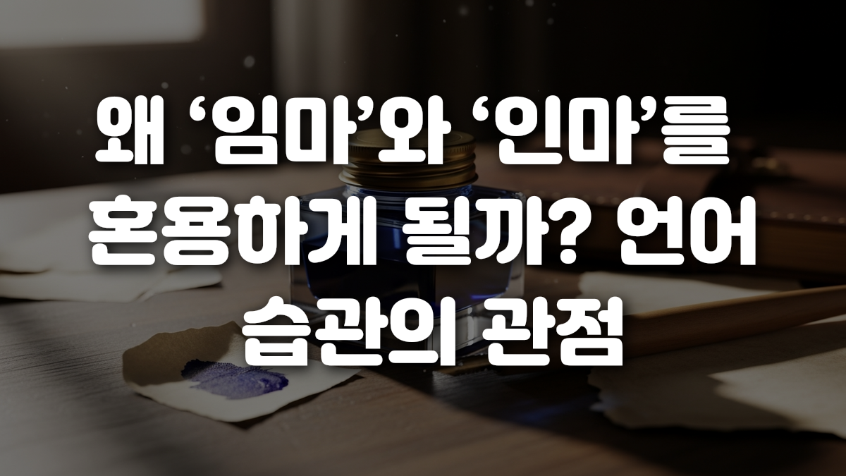 왜 임마 와 인마 를 혼용하게 될까 언어 습관의 관점