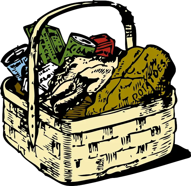 피크닉 도시락 메뉴 추천! – 가볍고 맛있게 즐기는 소풍 도시락 BEST 8