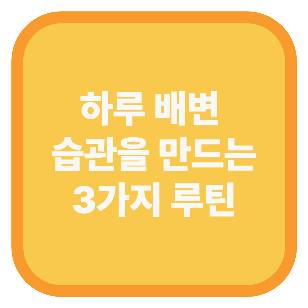하루 배변 습관을 만드는 3가지 루틴
