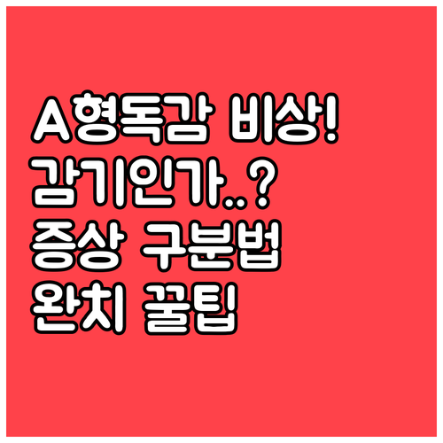 겨울철 불청객 A형 독감 완벽 가이드..