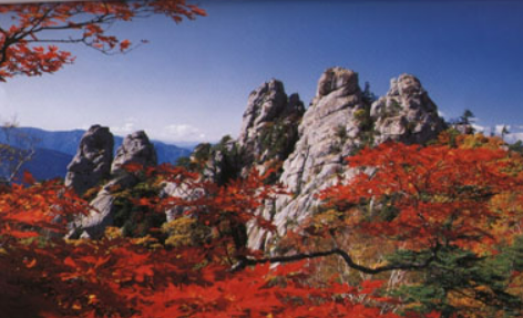 2023년 단풍시기