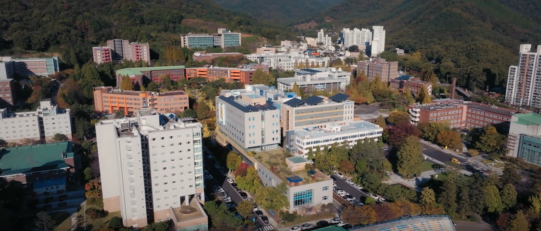 광주&middot;전남 인재 파이프라인 강화! 4개 국립 고등교육기관 연합, AI 교육혁명으로 경쟁력 제고