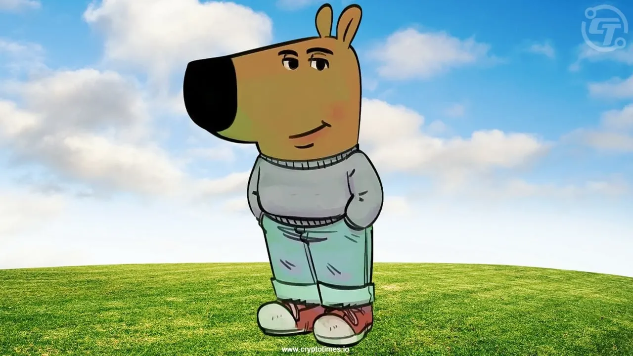 칠가이 테스트로 알아보는 나의 성격 유형, Chill한 성격 찾기