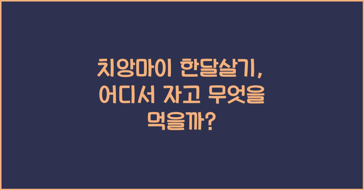 치앙마이 한달살기