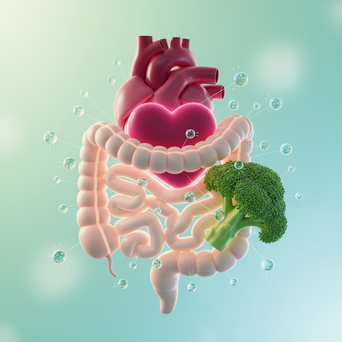 장 건강과 심혈관 질환 예방의 핵심