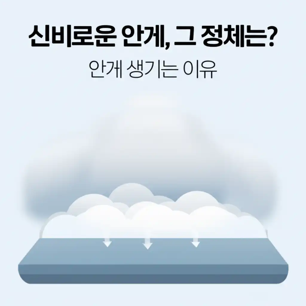 안개생기는이유_introduction