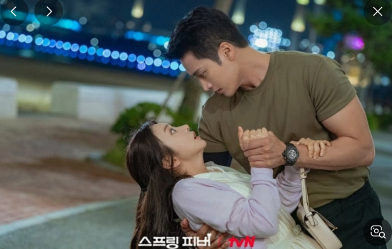스프링-피버-기본-정보-등장인물-뜻-ott