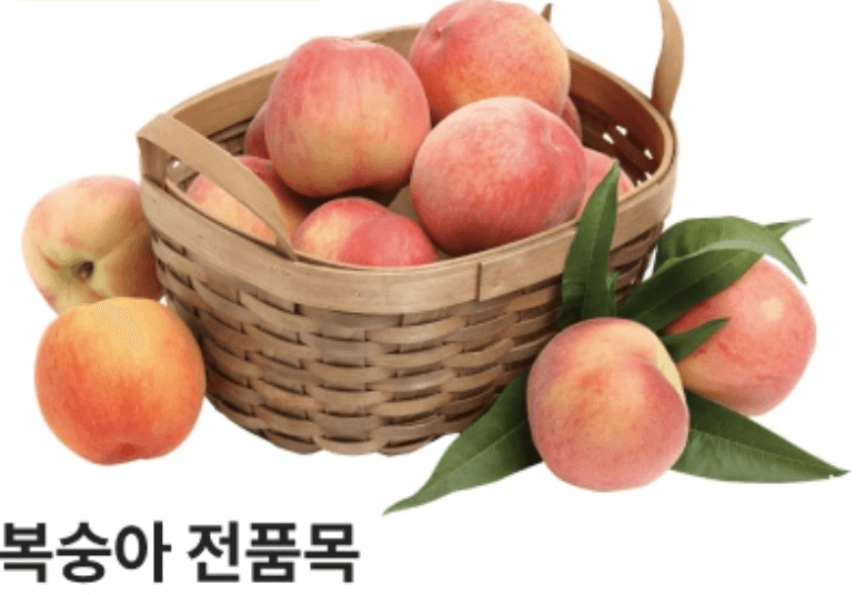 2025 단 3일! 이마트 고래잇 페스타 7월 세일시작! 여름 할인 놓치지 마세요 관련사진
