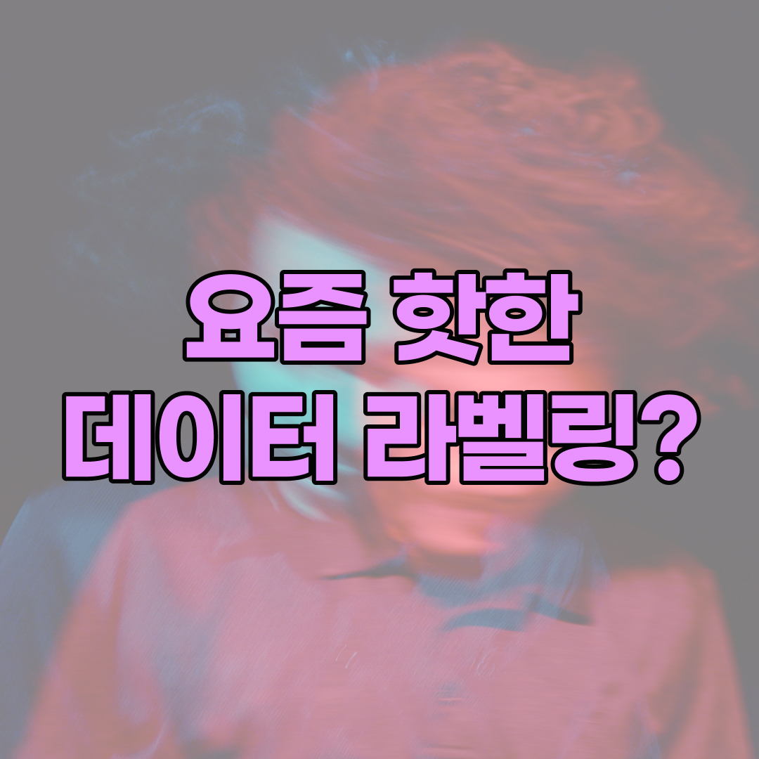 데이터 라벨링