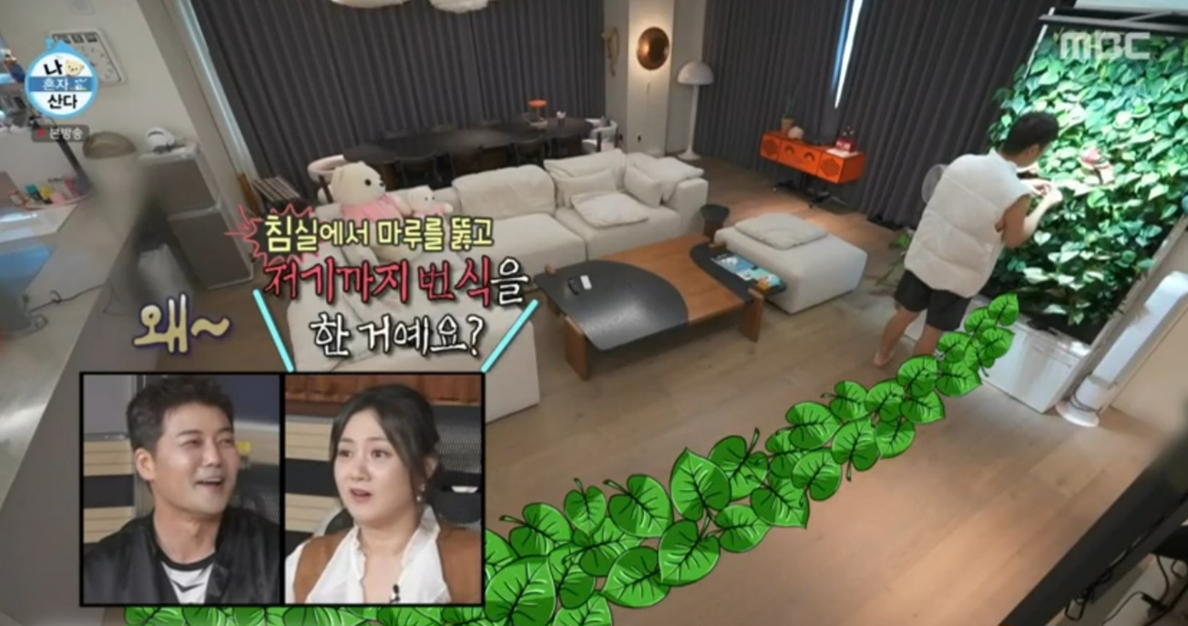 나혼자 산다 609화 전현무 실내정원, 공기정화 식물