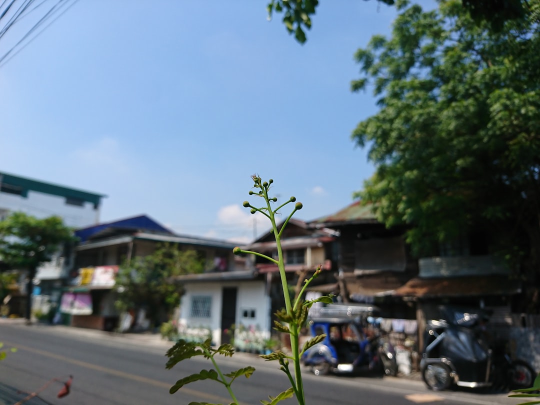 Polymarket