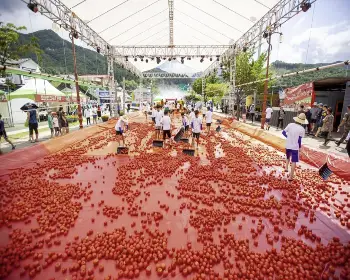 화천 토마토축제_7