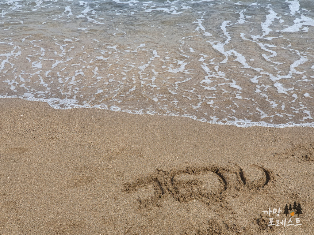 사계 해변 모래놀이