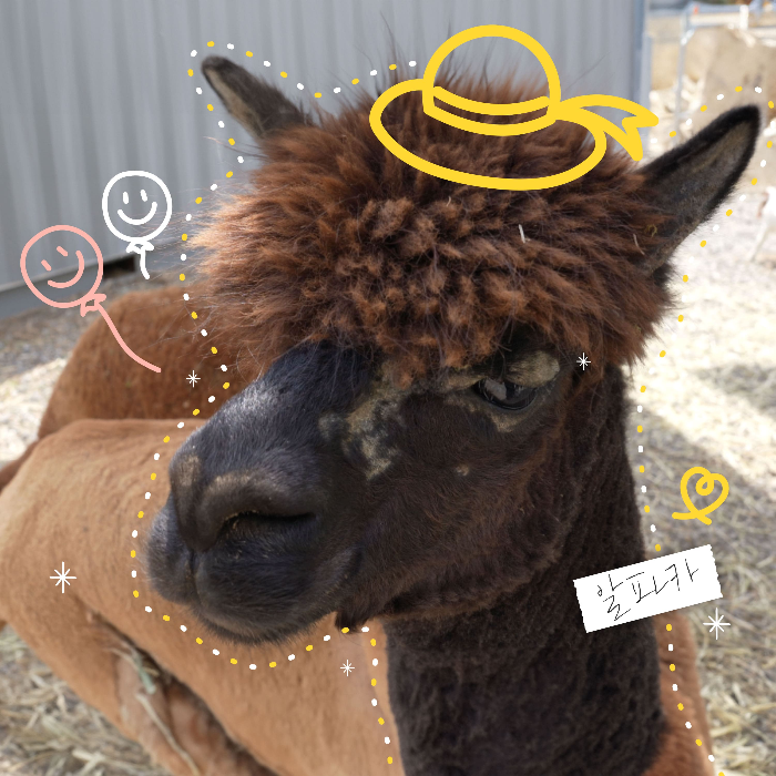 가평 베고니아새정원