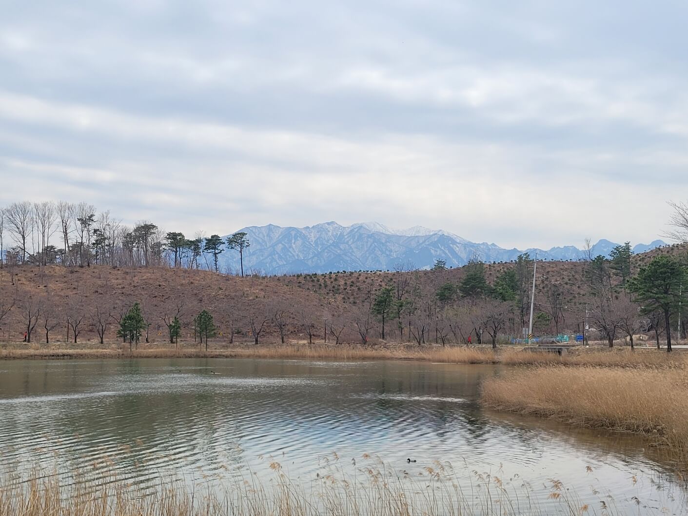 lago yeongnanho
