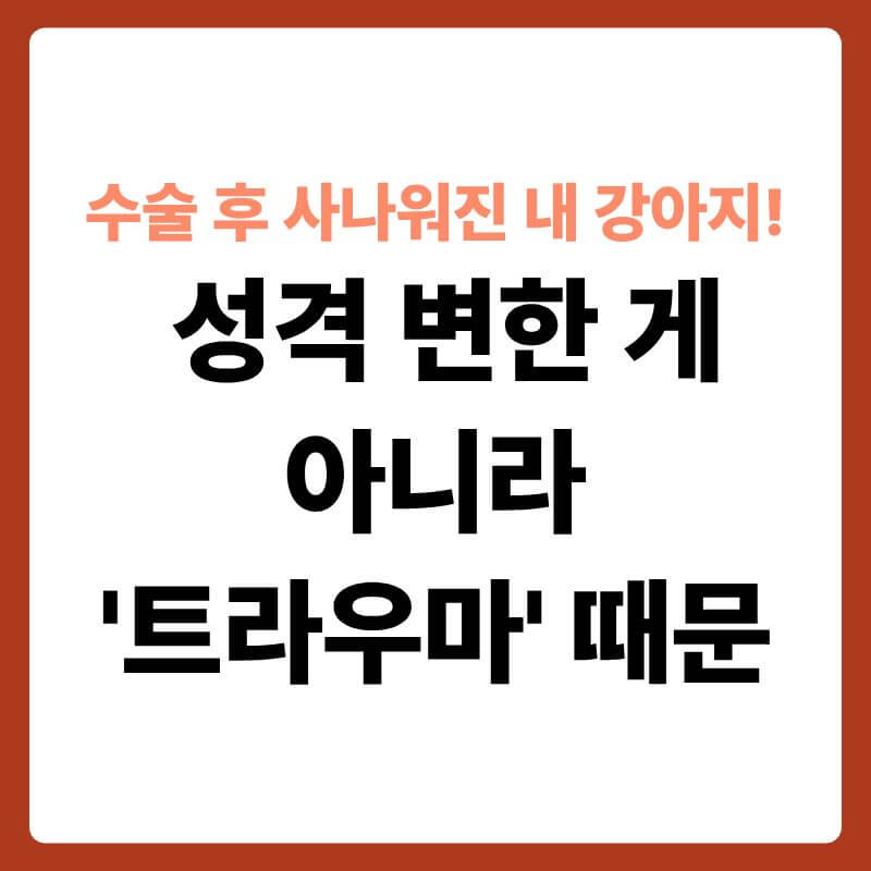 수술 후 도넛 모양의 천 넥카라를 목에 찬 채 침대 구석에서 잔뜩 경계하는 눈빛으로 밖을 내다보고 있는 푸들 강아지의 모습. 강아지의 가슴과 머리 뒤쪽으로 하얀색 병원 수술대 조명과 주사기 모양의 반투명한 잔상이 그래픽으로 희미하게 겹쳐져 수술 후 겪는 심리적 외상을 시각적으로 표현한 이미지