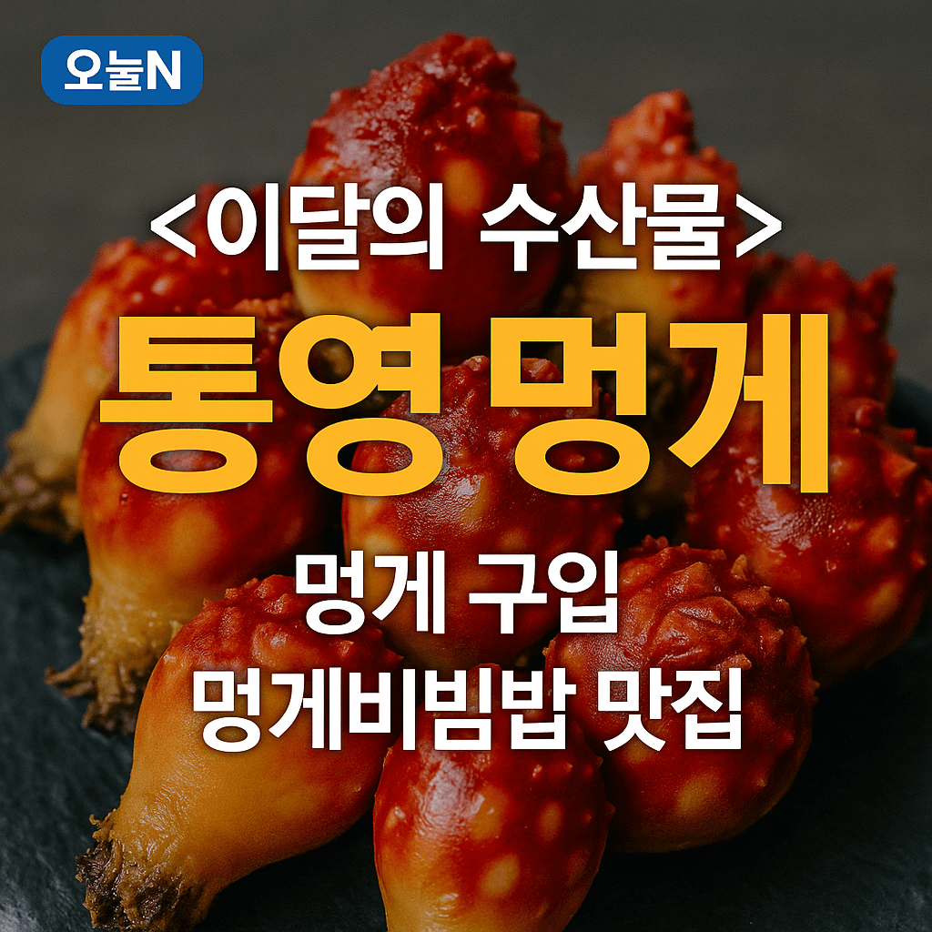오늘N 이달의 수산물 통영 멍게 제철 정보 멍게수협 직매장과 멍게비빔밥 맛집 장방식당 오늘N 2503회