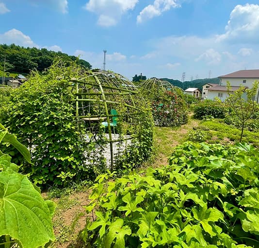 자연 치유와 해독: 자연 재료로 만드는 홈 디톡스 방법