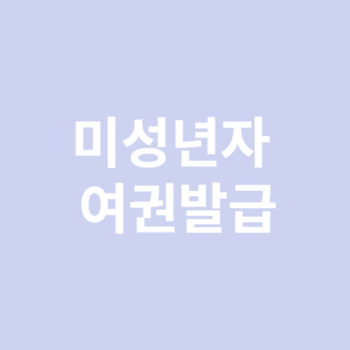 미성년자 여권발급