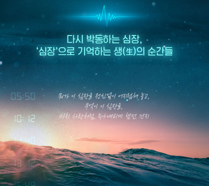 전체평가