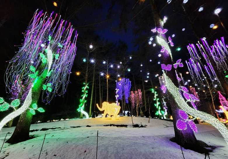 오색별빛정원전2