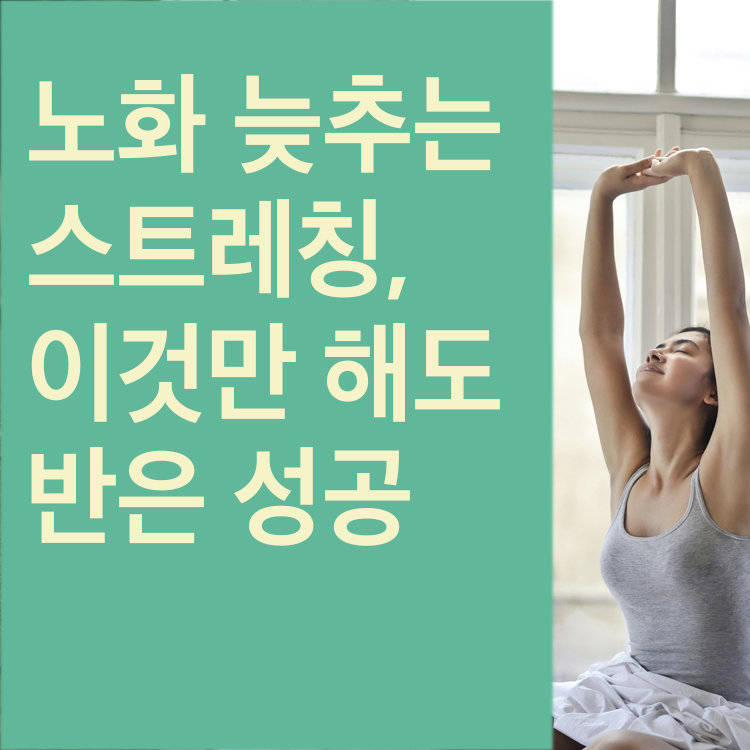 노화 늦추는 스트레칭 루틴