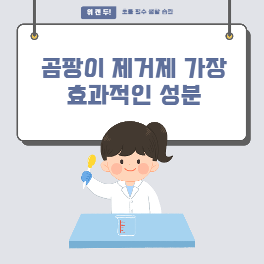 곰팡이 제거제 가장 효과적인 성분