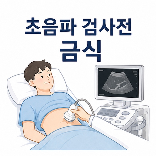 복부에 초음파 탐촉자를 대는 검사 장면과 모니터를 함께 배치해 초음파 검사전 금식을 설명하는 대표 이미지