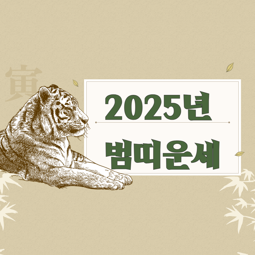 범띠 운세 대표사진