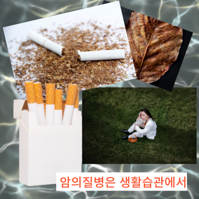 당신은 암에 잘 걸리는 사주인가?